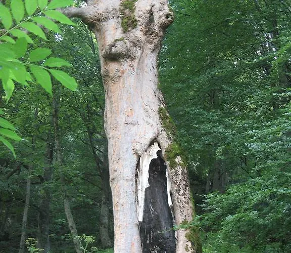 Casale Hotel Isola del Gran Sasso dʼItalia